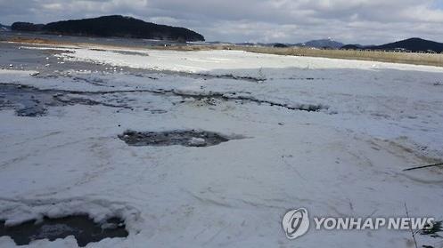 바다까지 얼린 '북극한파'…동파·정전에 물고기 떼죽음 | 세계일보