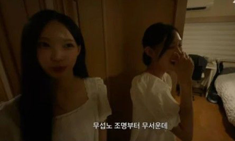 원이, '무섭노' 일베 낙인…국립국어원 '질문'에도 등장