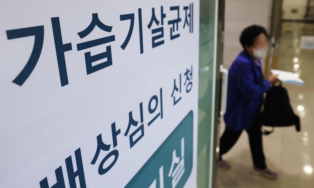 사진 이미지